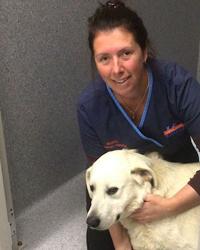 Dr Belinda Adams - Veterinarian - - Australia