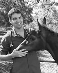 Dr Ben  Ford Cooks Hill Veterinary Clinic Cooks Hill