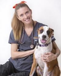 Dr Dallas  Barker Albany Creek Veterinary Surgery Albany Creek