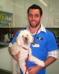 Dr Eben Martin Bundoora Veterinary Clinic And Hospital Bundoora