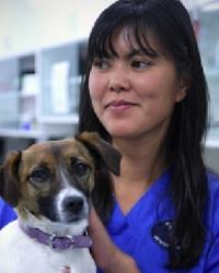 Dr Genevieve Fredericks Bundoora Veterinary Clinic And Hospital Bundoora