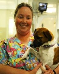 Dr Heather Tilley Bundoora Veterinary Clinic And Hospital Bundoora