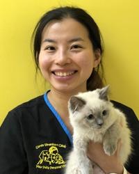 Dr Jade Ng Curtin Veterinary Clinic Curtin