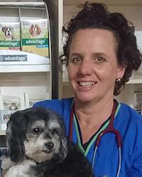 Dr Lou Beck Lynne Bodell Vet Clinic Wagga Wagga