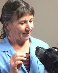 Dr Lynne Bodell Lynne Bodell Vet Clinic Wagga Wagga