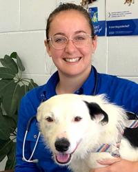 Dr Mika Bridges - Veterinarian - - Australia