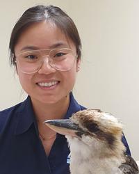 Dr Jing Khuu Dernancourt Veterinary Centre Dernancourt